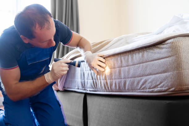 Best Bed Bug Extermination  in Virginia Gardens, FL